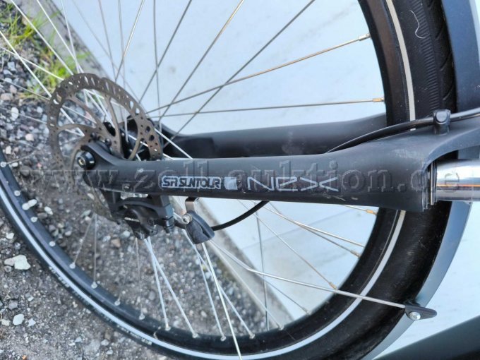 Gabel vorne mit Bremse