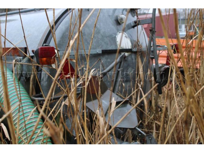 Heckansicht, leicht eingewachsen