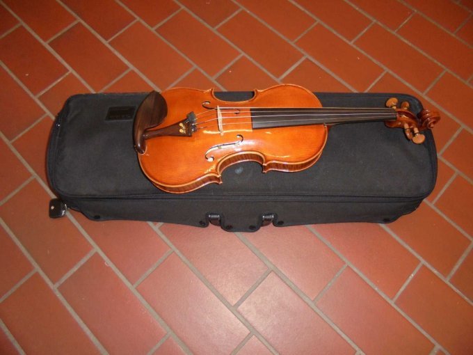 1 Geige Verona