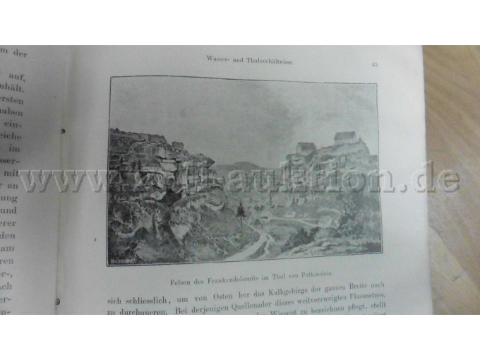 Felsen des Frnakendolomits im Thal von Pottenstein