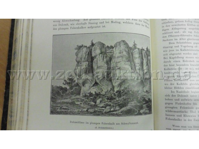 Dolomitlinse im plumpen Felsenkalk am Schwalbennest