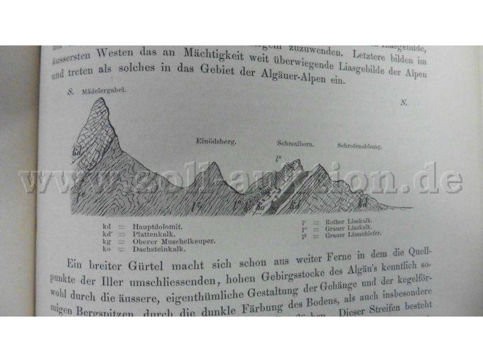 Liasische Kalkmergel im Allgäu (Band 1)