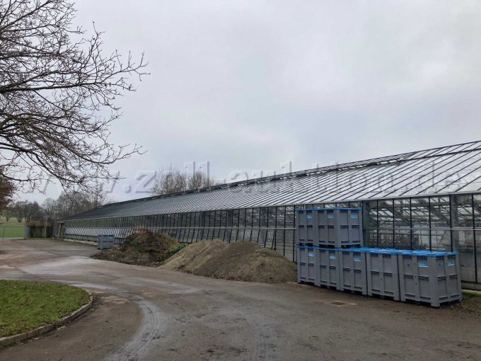 Gewächshaus Außenansicht