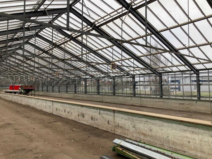 Gewächshaus Innenansicht