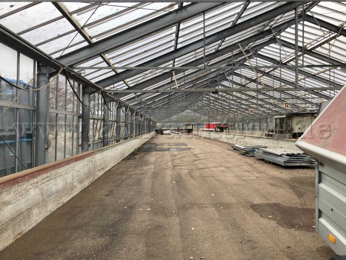 Gewächshaus Innenansicht