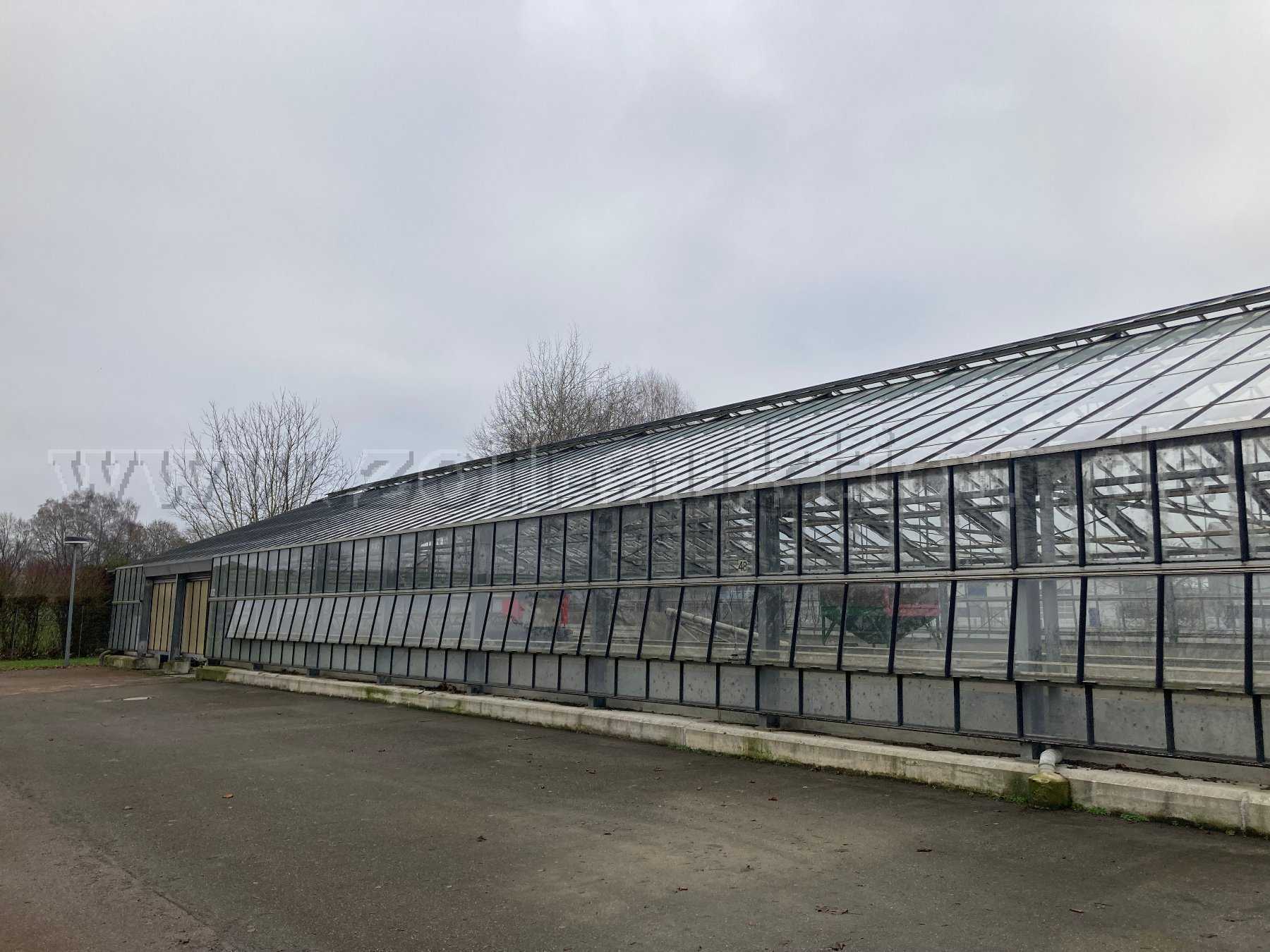 Gewächshaus Außenansicht, Fallrohr zur Dachentwässerung