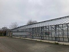 Gewächshaus Außenansicht, Fallrohr zur Dachentwässerung