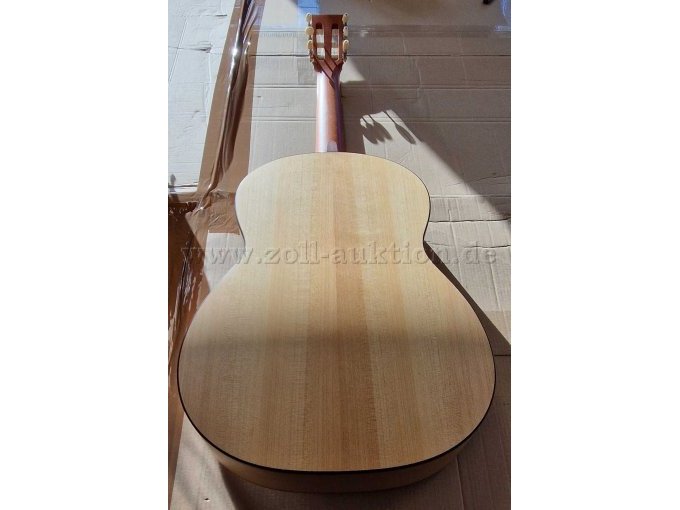 Gitarre Rückseite