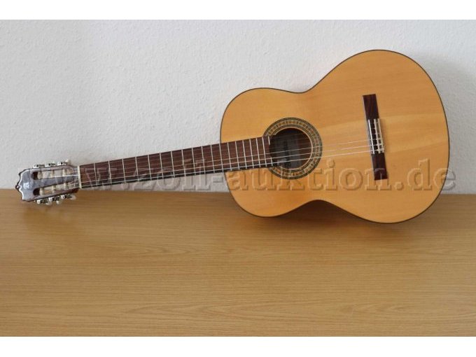 Gitarre