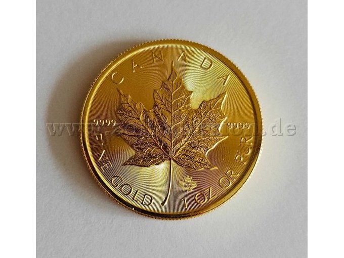 1 gouden munt Maple Leaf 2022, zuiverheid 999,9/1000 – foto 2 – kavel bij Zoll-Auktion, Rostock