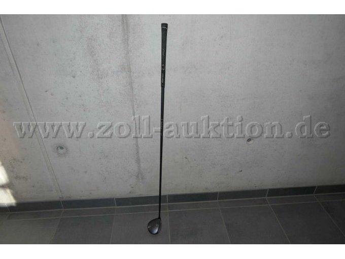 Gesamtansicht der Auktion