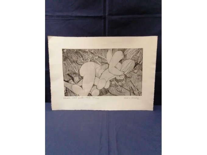 Hauptansicht 1 Bild "kleines und großes Weib" Hauptansicht 1 Bild "kleines und großes Weib"