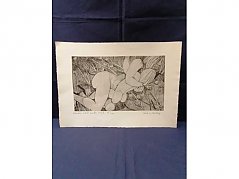 Hauptansicht 1 Bild "kleines und großes Weib"