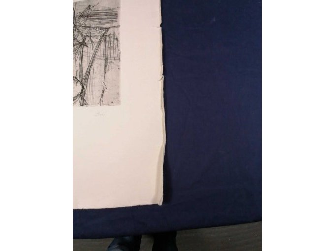 Ansicht mit Beschädigungen 4 Grafik Von Enzo Bioli