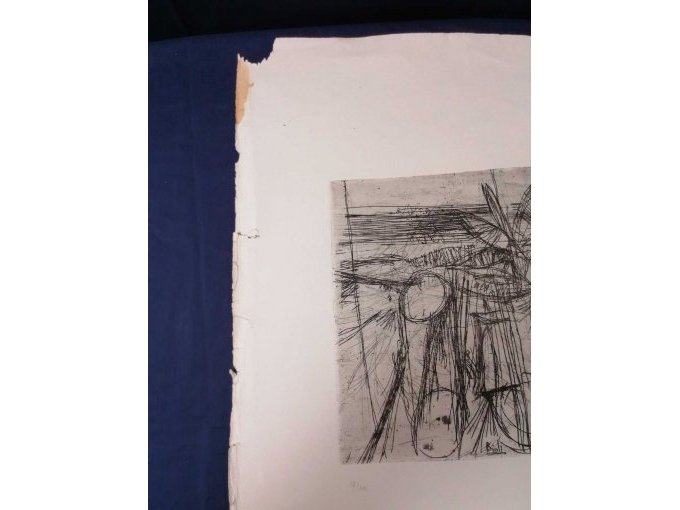 Ansicht mit Beschädigungen 1 Grafik Von Enzo Bioli