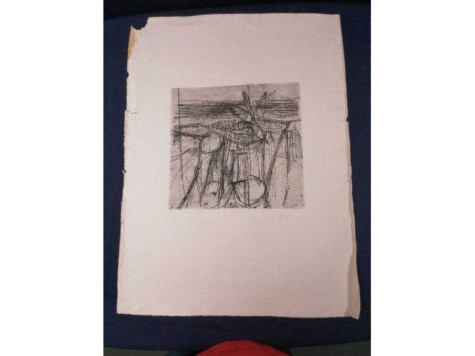 Hauptansicht Grafik Von Enzo Bioli