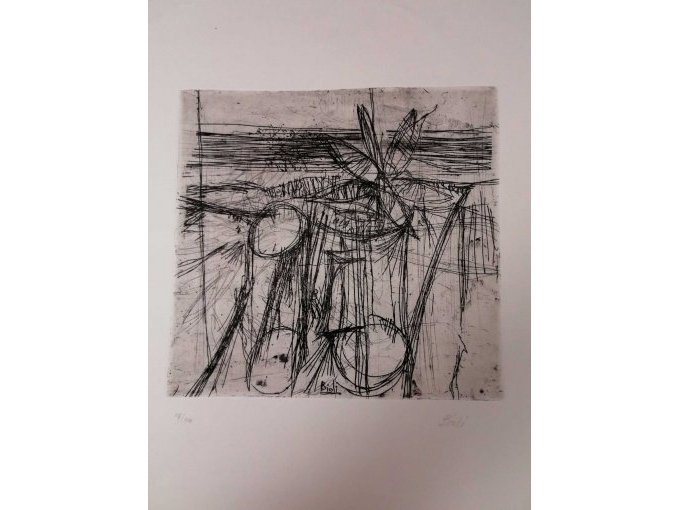 Nahansicht Grafik Von Enzo Bioli