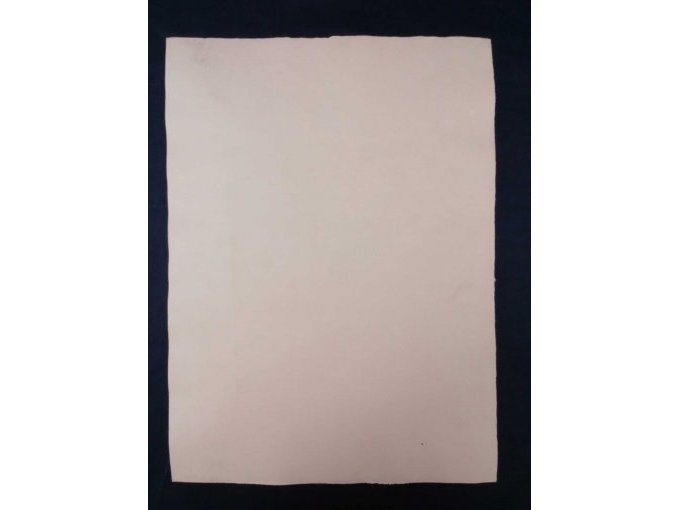 Rückansicht Grafik Siegfried Gruber