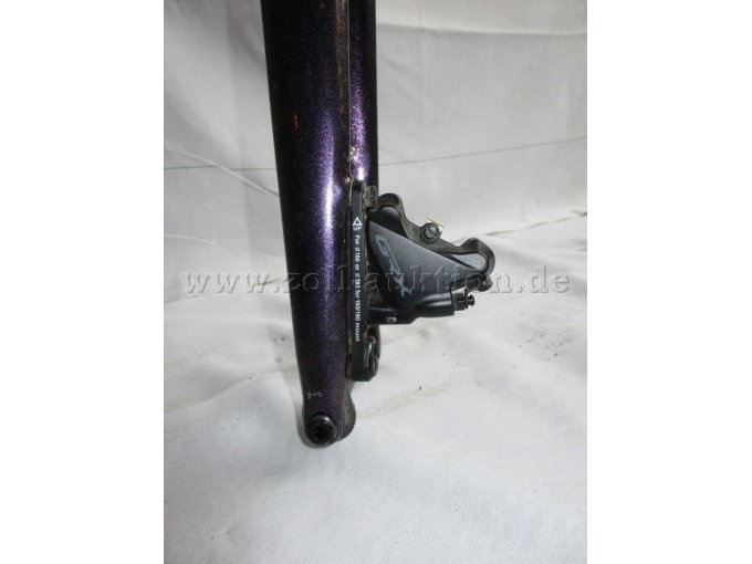 Teilansicht Vorderradnabe mit GRX Bremssattel