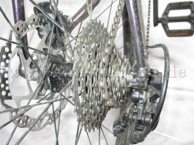 Teilansicht Hinterrad mit Zahnräder