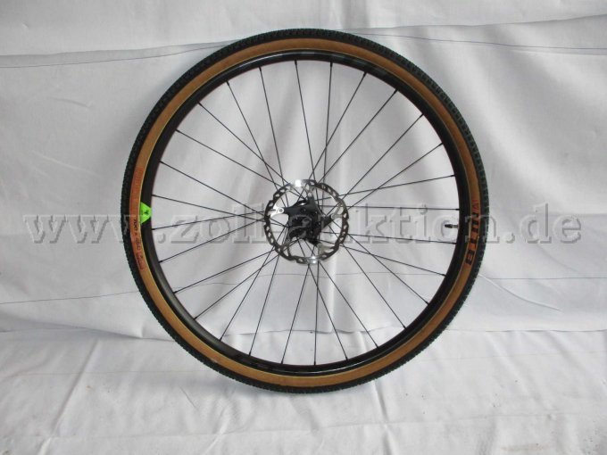 Ansicht Vorderrad mit Scheibenbremse, Vorderrad nicht montiert