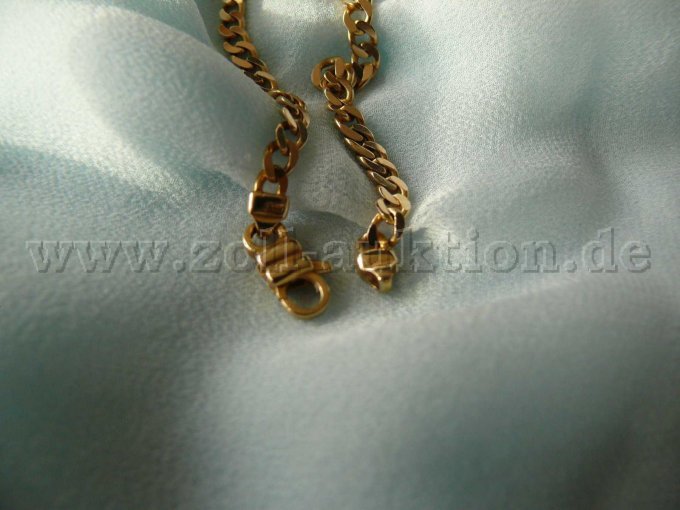 Goldkette mit Feder-Ringverschluss