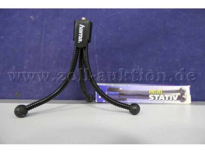 Gesamtansicht der Auktion