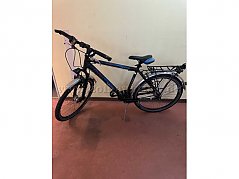 Raleigh Max Schoolmax