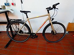 Herrenrad Diamant_ Gesamtansicht auf linke Seite