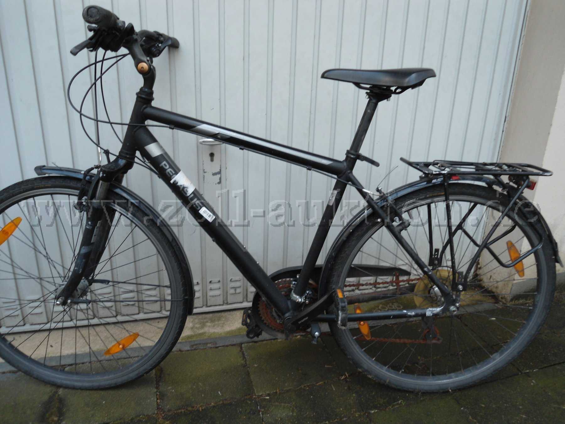 Pegasus Herrenrad