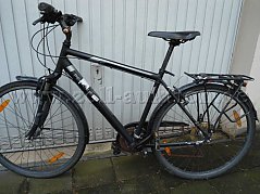 Pegasus Herrenrad