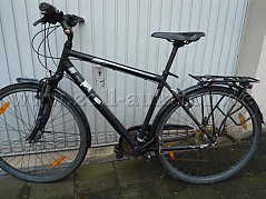 Pegasus Herrenrad