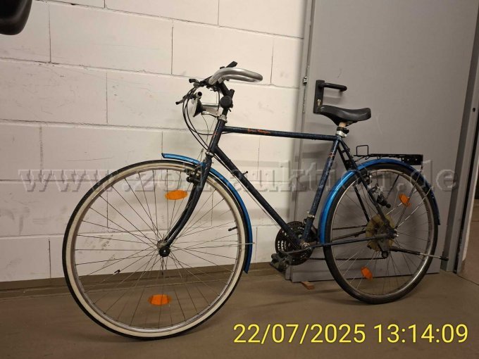 Herrenrad 28 Zoll Ansicht links 2