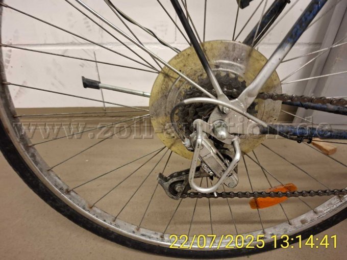 Herrenrad 28 Zoll Schaltwerk hinten