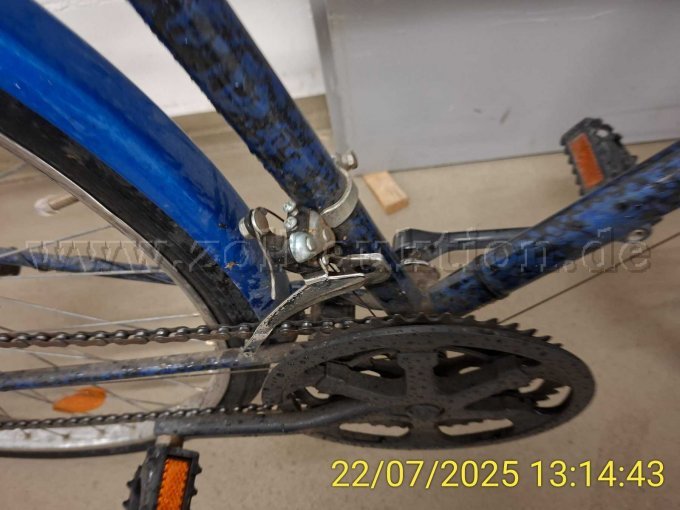 Herrenrad 28 Zoll Pedale mit Schaltung