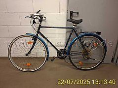Herrenrad 28 Zoll Ansicht links
