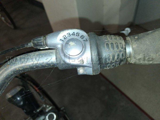 Herrenrad silber-grau Schaltung