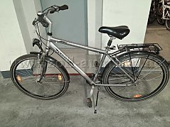 Herrenrad silber-grau Seite