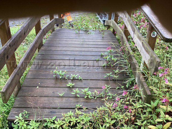 Brücke Lauffläche