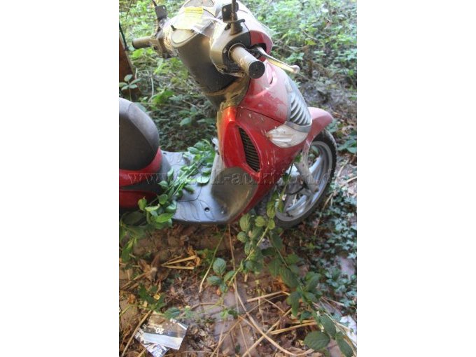 Seitenansicht rechts vorne