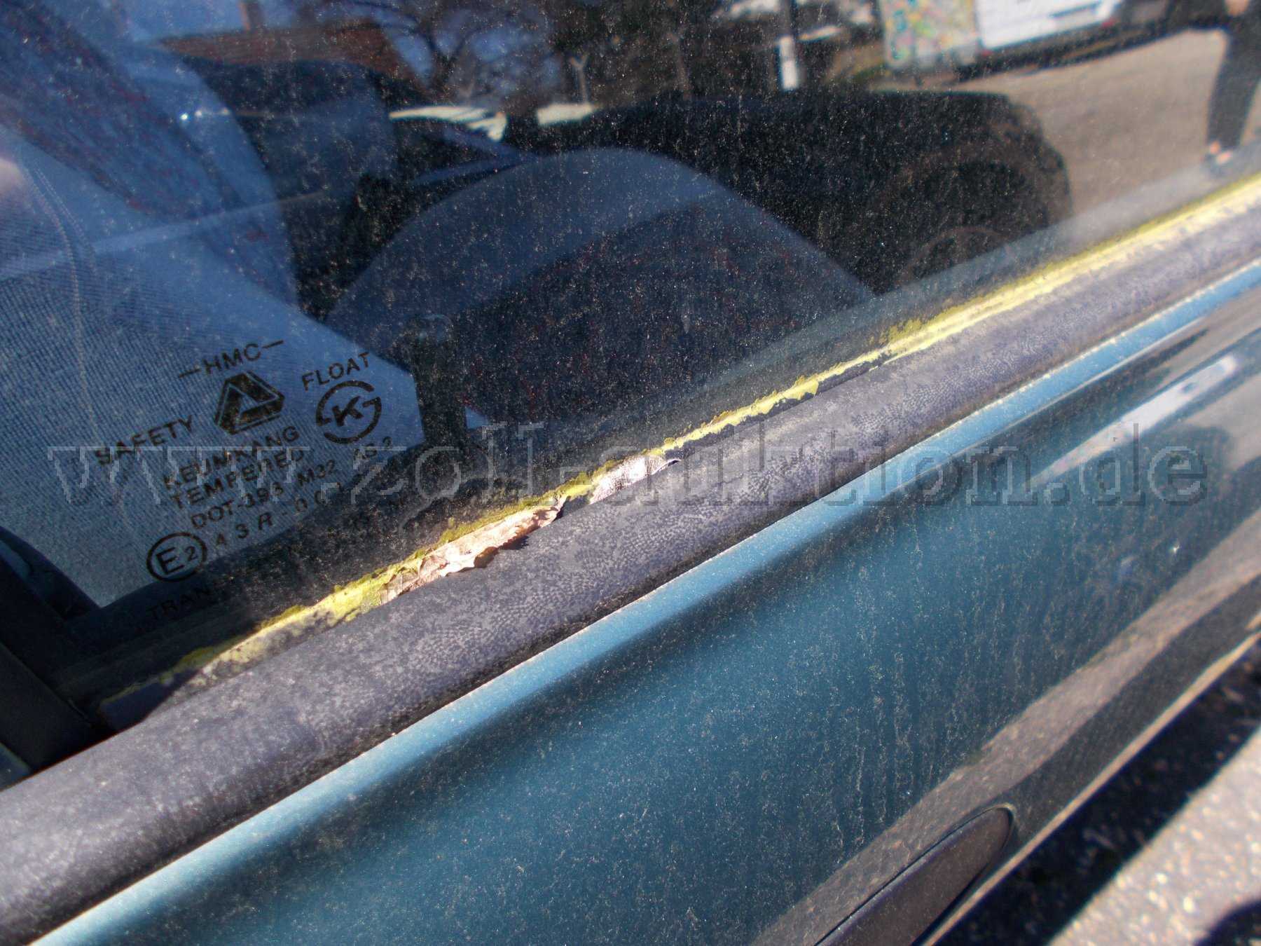 Moosansatz am Dichtungsgummi