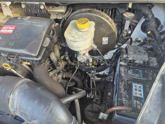 1 IVECO Daily Pritsche, Typ: IS35SC2AA – foto 15 – kavel bij Zoll-Auktion, Cuxhaven