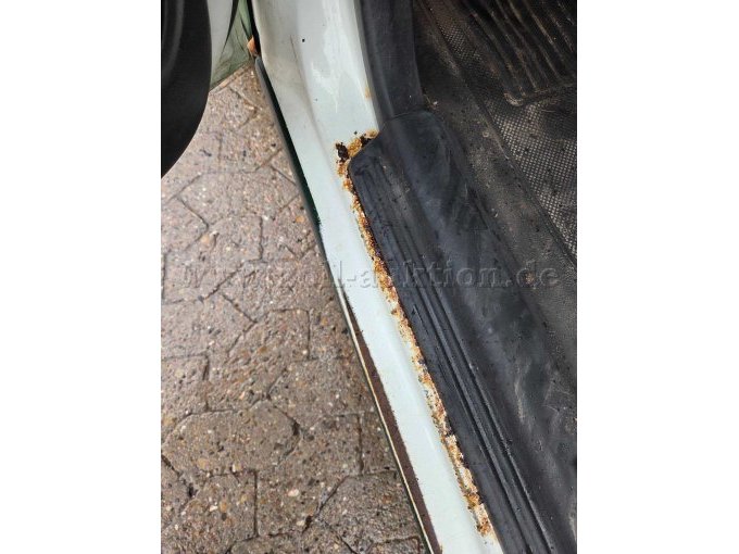 Türschweller Fahrertür