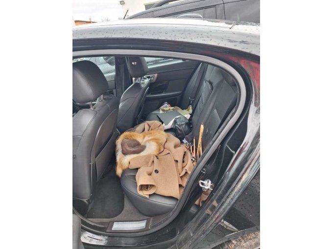 Ansicht Innenraum hinten