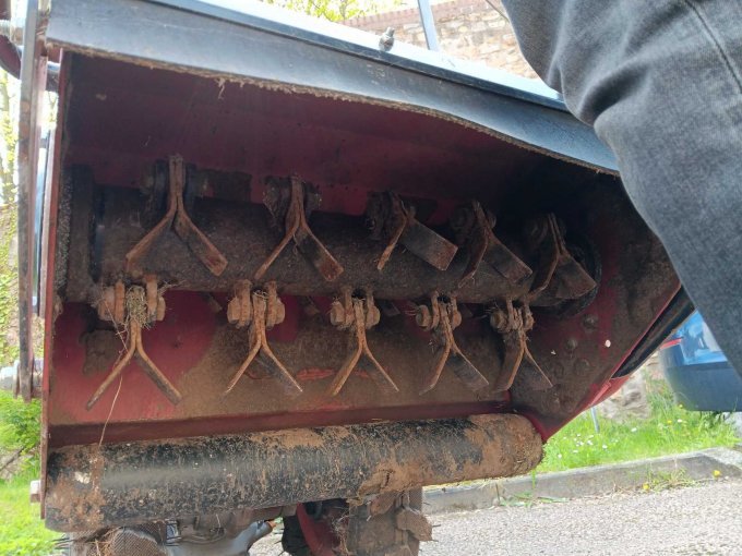 Schlegelmulcher