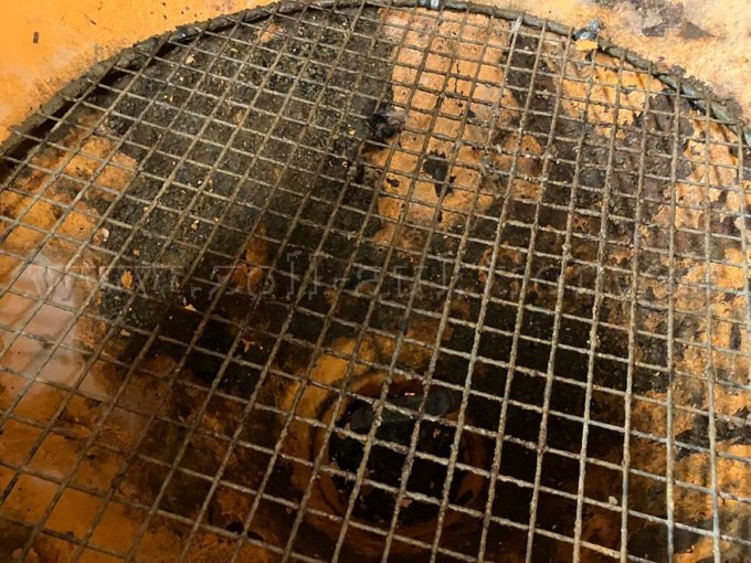 Winterdienst-Scheibenstreuvorrichtung