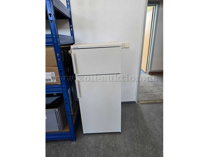 Kühlgefrierkombination "Gorenje RF 3188 W" Gesamtansicht von vorne