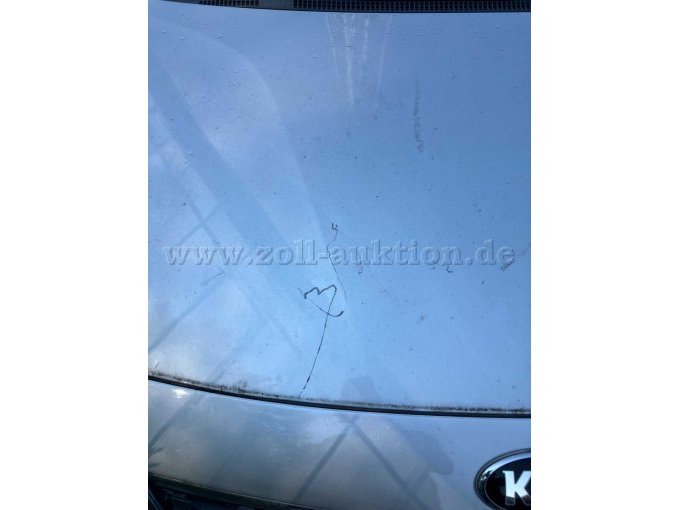 Kratzer Motorhaube