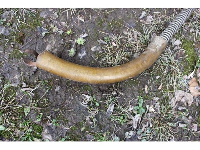 vorderes Ende der Spirale