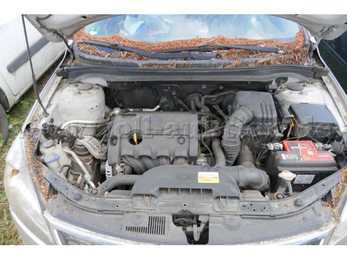 Motor